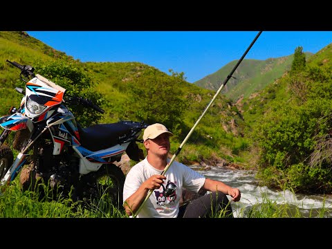Видео: Рыбалка в ДИКИХ МЕСТАХ ЗАВОРАЖИВАЕТ! Закинул и понеслось! Рыба не дает скучать.
