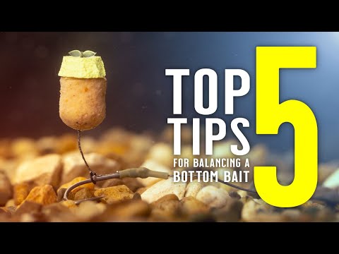 Видео: Поймайте больше карпа с помощью этих 5 лучших советов по балансировке донной приманки! Основные п...