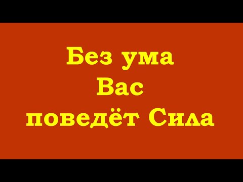 Видео: Без ума Вас поведёт Сила – самым лучшим способом