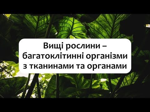 Видео: Біологія 7 клас (Балан). §16 Вищі рослини – багатоклітинні організми з тканинами та органами