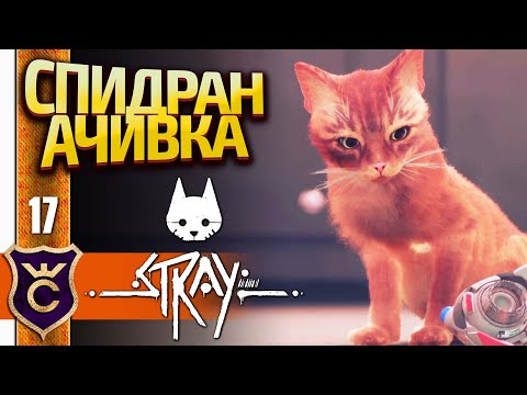 Видео: ПРОЙТИ ИГРУ МЕНЬШЕ ЧЕМ ЗА ДВА ЧАСА! Stray #17