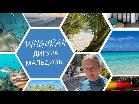 Видео: Дигура 🐋 Где увидеть китовую акулу на Мальдивах? | Обзор острова Dhigurah
