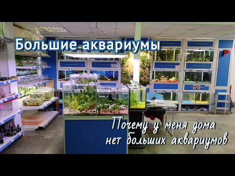 Видео: Большие аквариумы.