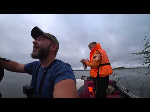 Видео: 6 дней в ТАЕЖНОЙ глуши! Часть 2: Уха, судак и ястреб-диверсант! #рыбалка #озеровоже