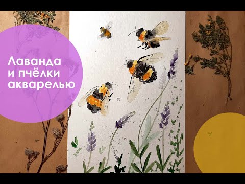 Видео: Как нарисовать акварелью Пчёл и Лаванду. Для начинающих