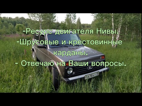 Видео: Ответы на Ваши вопросы по Ниве, двигатель, карданы, спальное место!