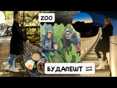 Видео: Наши будни в Будапеште 🇭🇺 Покупки, прогулки и день в зоопарке 🦓🐘