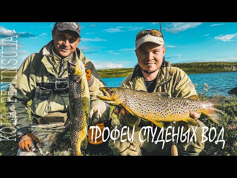 Видео: ТРОФЕИ СТУДЕНЫХ ВОД. АРКТИЧЕСКАЯ ТУНДРА. НОВЫЙ МАРШРУТ ПОРАДОВАЛ УЛОВОМ | РЫБАЛКА НА КОЛЬСКОМ.