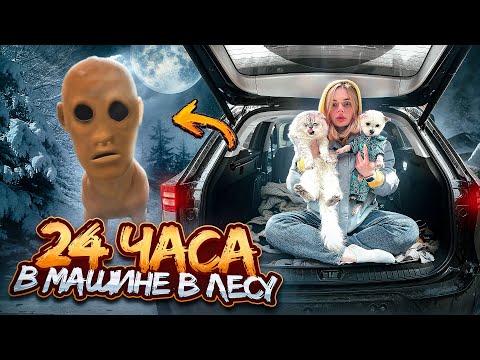Видео: 24 ЧАСА В МАШИНЕ В ЛЕСУ ЭЙ ОСТАНОВИСЬ НА МИНУТКУ С КОТАМИ И СОБАКОЙ