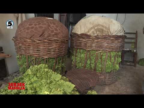 Видео: Зевзекманија - Весели тутуноберачи