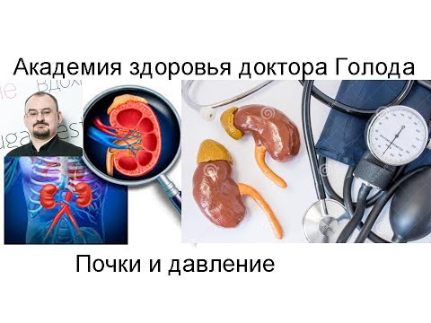 Видео: Почки и повышение артериального давления
