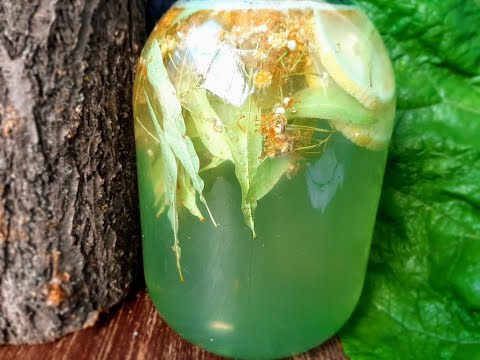 Видео: Квас из липы. Просто невероятный напиток! Полезный, Вкусный и Прекрасно утоляет жажду