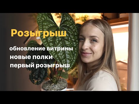 Видео: Обновление витрины / новые полки для растений
