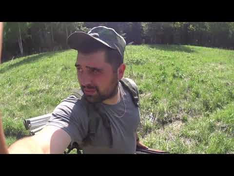 Видео: Охота на медведя на приваде весна 2023