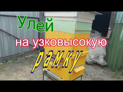 Видео: Узковысокий улей . Улей на узковысокую рамку