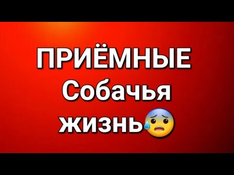 Видео: Приёмные/В последних сериях. 