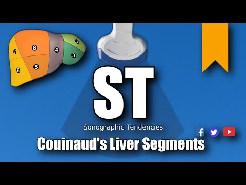 Видео: Ультразвуковое исследование сегментов печени по Куино