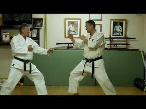 Видео: "Огневая поддержка" для рук: техника ударов ногами в карате