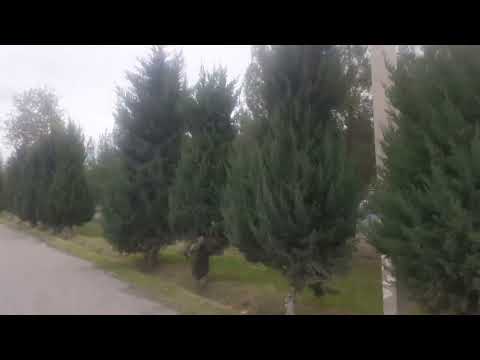 Видео: троллейбусный парк  , фзхв и т.д.
