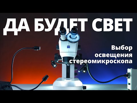 Видео: Свет в стереомикроскопе. Light in Stereomicroscopes