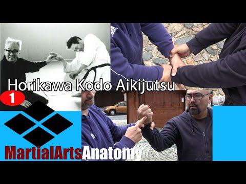 Видео: Рассматриваем мастеров айкидзюцу Kodo Horikawa -1
