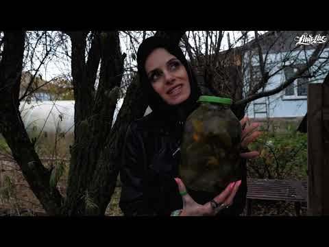 Видео: Лина Лайф Мои Герои серия 1 Lina Live My heroes series 1