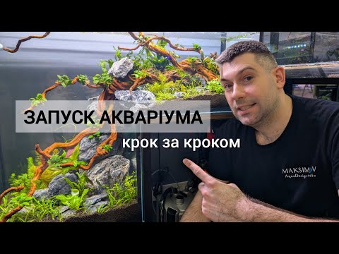 Видео: Запуск та оформлення акваріума - крок за кроком