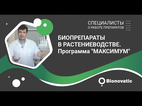 Видео: Биопрепараты в растениеводстве. Программа "Максимум"