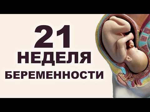 Видео: Что происходит с мамой и ребёнком на 21 неделе беременности? 5 месяц беременности. Второй триместр.