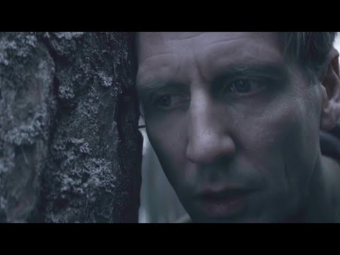 Видео: Лес наказывает всех кто ему вредит и запирает их в деревьях