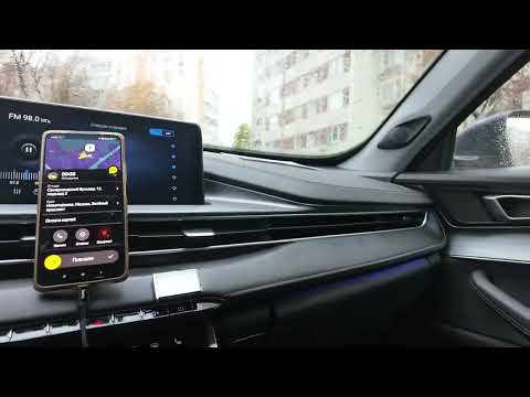 Видео: Пассажир настучал и не поехал. Работа в день. CARCITY 84993025062