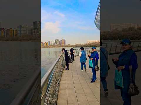 Видео: кувшинки и люди в Алматы на Сайране #walkingtour