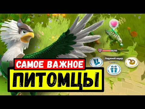 Видео: БОЕВЫЕ ПИТОМЦЫ / Что на самом деле важно?! [ Call of Dragons ]