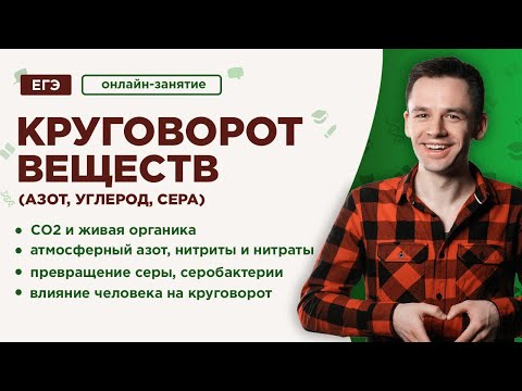 Видео: Круговорот веществ: углерод, азот, сера | ЕГЭ Биология | Даниил Дарвин