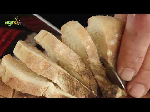 Видео: Богдан Богданов: В България няма качествена пшеница за направата на хляб