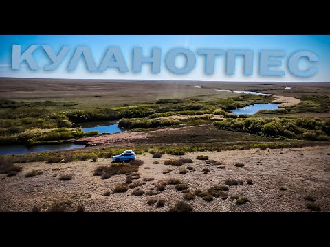 Видео: Где находится секретное место для рыбалки?
