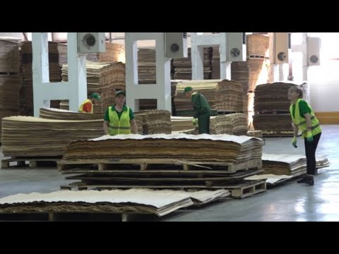 Видео: Завод по глубокой переработке древесины открыли в Петропавловске