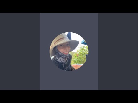 Видео: 금일해당화해변  #stream #korea #beach #jiyoo8515 jiyoo8515 в прямом эфире!