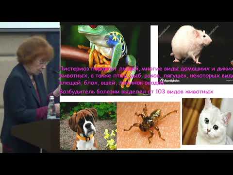 Видео: Кареткина Г.Н., Листериоз - эмержентная инфекция.