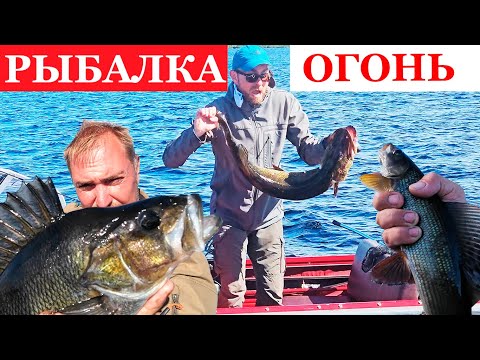 Видео: РЫБАЛКА В ГЛУШИ! ВОКРУГ НИКОГО! ЖИЗНЬ В ИЗБЕ часть 2