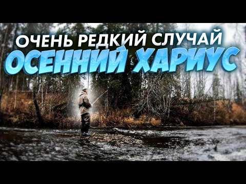 Видео: УНИКАЛЬНЫЙ СЛУЧАЙ.РЫБАЛКА.ОХОТА НА РЯБЧИКА.САПОГИ BAFFIN.