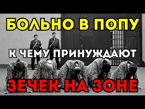 Видео: Что делают с красивыми ЗЕЧКАМИ на ЗОНЕ ? Запретная правда!