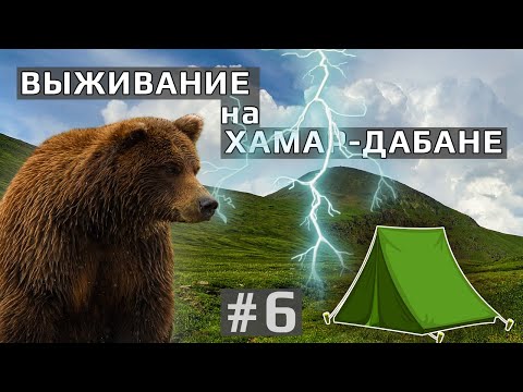 Видео: Опасная встреча с медведем под Тумбусун-Дулгой | Шторм на Хамар-Дабане | Палатку топит | Дни 5 и 6