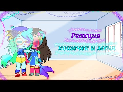 Видео: Реакция кошаков и меня на видео моих подруг💋(и немного на мои)🐾🐱🐾