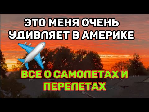 Видео: БЕСПЛАТНО.КАК ЛЕТАЮТ АМЕРИКАНЦЫ НА САМОЛЕТАХ.ГДЕ ПОЕСТЬ "НА ХАЛЯВУ" В АЭРОПОРТУ.УЛЕТЕЛИ В ОРЛАНДО