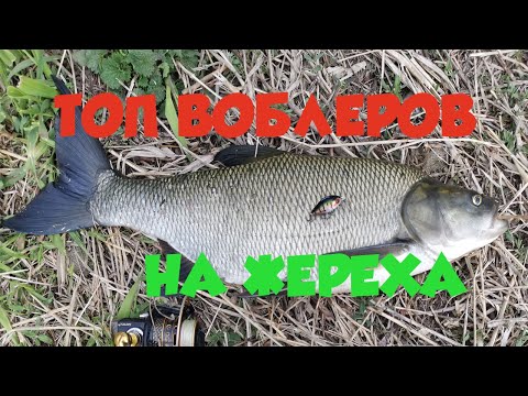 Видео: Лучшие воблеры на жереха. Топ 2020 года
