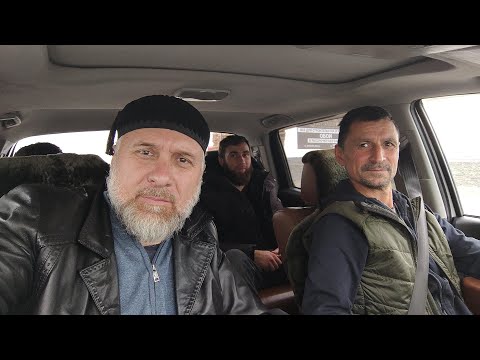Видео: Едем покупать Жеребца для Подписчика.Подбор