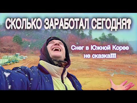 Видео: АНОМАЛИЯ В ЮЖНОЙ КОРЕЕ! Работа и зарплата! #KOREA #WORK #MONEY