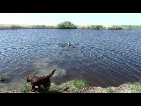 Видео: Рыбалка в жару. Нура, Кон. Щука 5 кг.