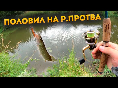 Видео: Половил на реке Протва!